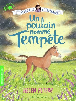 cover image of Jasmine l'apprentie vétérinaire (Tome 9)--Un poulain nommé Tempête